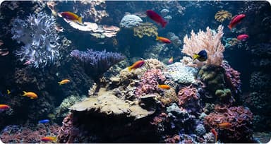 Flow rate chart showing performance curves for models 100, 150, and 200